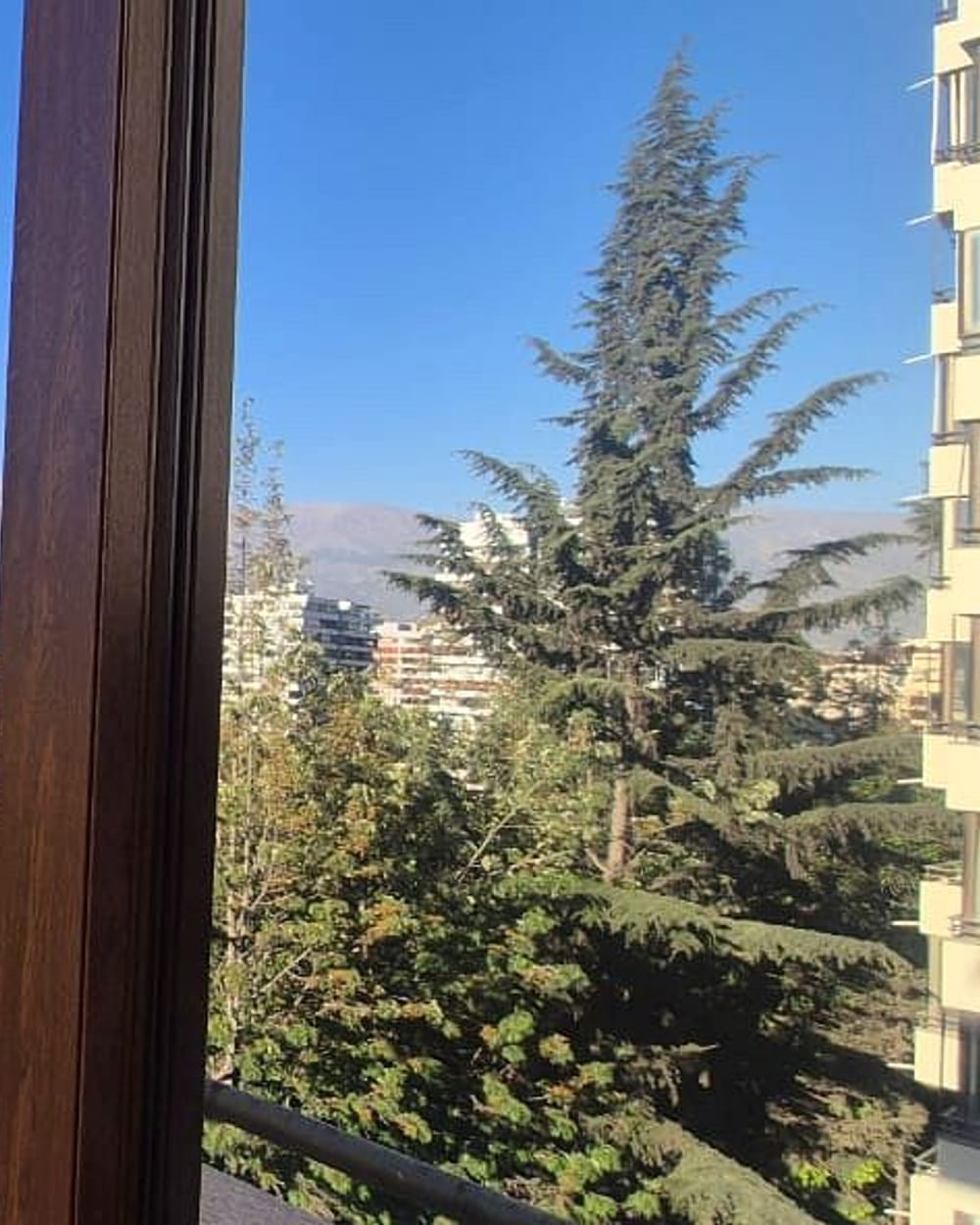Ventana de PVC color nogal con vista a un cedro y la cordillera